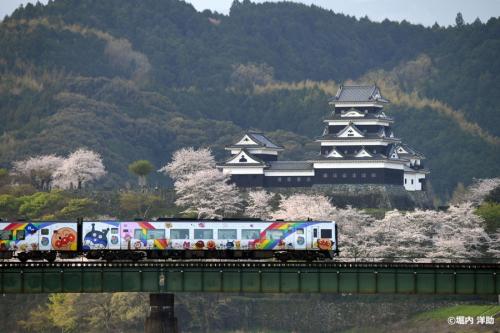 フォトサービス　Z-162　アンパンマン列車と大洲城を彩る桜(愛媛県大洲市)
