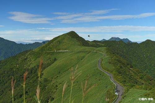 フォトサービス　Z-172　四国山地の尾根を走る「天空の道」UFOライン(高知県)