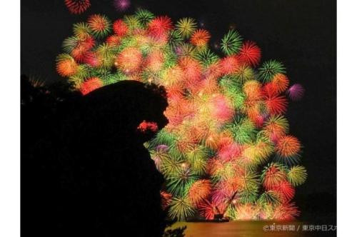 フォトサービス　2023年8月30日　やっと咲いた　大輪の花(七里御浜海岸)