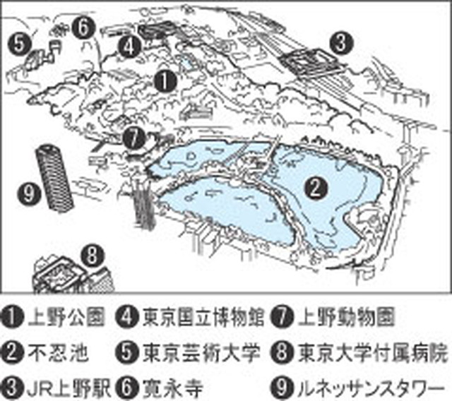 フォトサービス　2010年3月28日　開花(1)上野公園 桜50歳　平和の証し