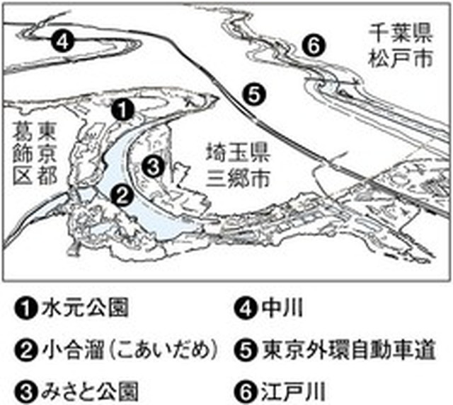 フォトサービス　2010年7月4日　水辺(1)水元公園 緑鮮やか　都の水郷