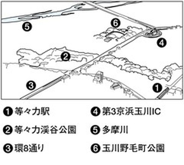 フォトサービス　2011年6月5日　等々力渓谷　守り継ぐ天然の涼