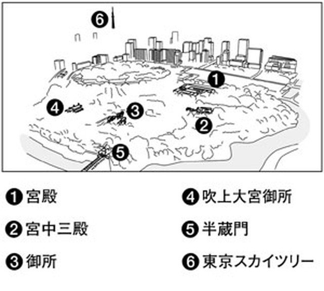 フォトサービス　2012年2月5日　皇居　厳冬　芽吹き待つ森