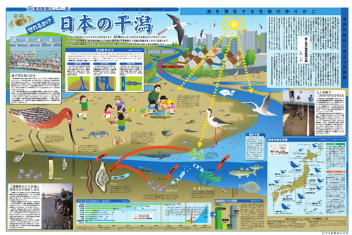 守れるか日本の干潟 (No.466)(2001年2月25日)