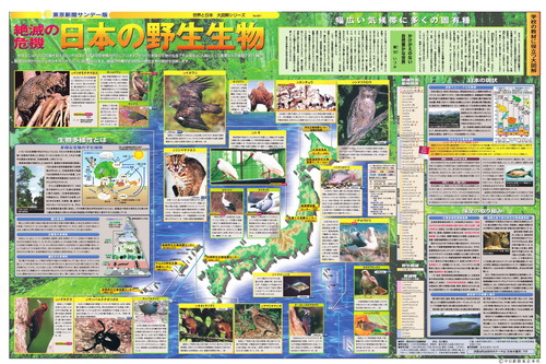 危機に立つ日本の野性動物 (No.491)(2001年8月19日)