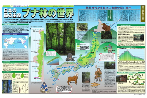 日本の森の主役　ブナ林の世界 (No.537)(2002年7月14日)