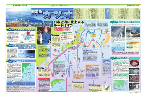 回遊魚　カツオ (No.690)(2005年7月3日)