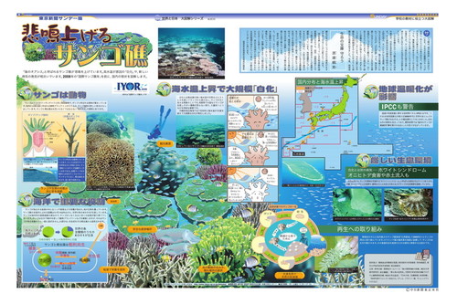 悲鳴上げるサンゴ礁(No.806)(2007年10月7日)