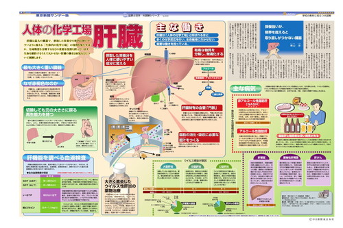 人体の化学工場　肝臓(No.868)(2008年12月21日)