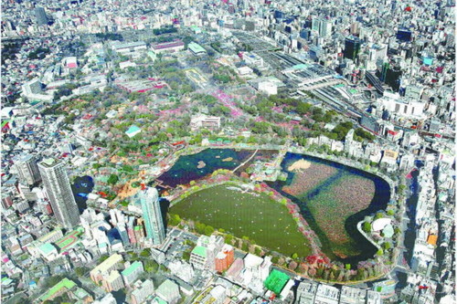 フォトサービス　2010年3月28日　開花(1)上野公園 桜50歳　平和の証し