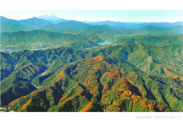 フォトサービス　2011年12月4日　高尾山　「三つ星」の山