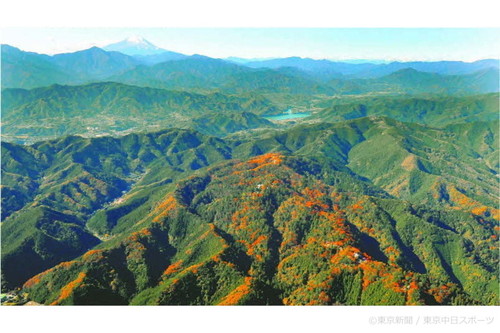 フォトサービス　2011年12月4日　高尾山　「三つ星」の山